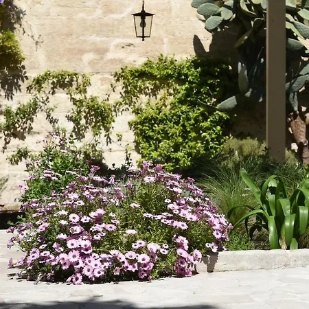Il Giardino Di Benedetta-2